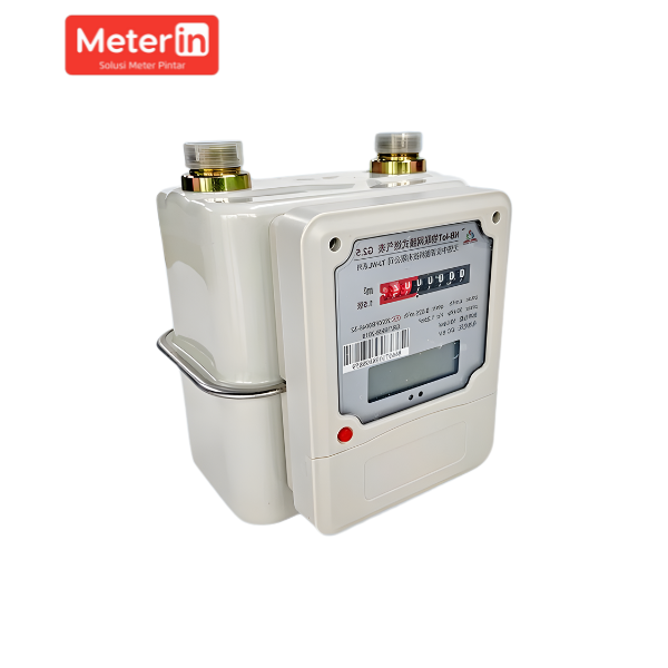Smart Steel Shell Gas Meter